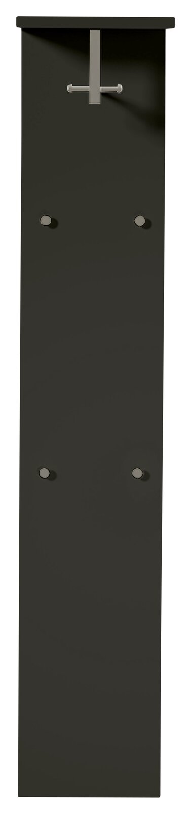 Frontale Ansicht eines breiten, modernen Garderobenpaneels in dunkler Farbe mit Haken und Ablage.