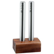 Modernes Salz- und Pfeffer-Set aus Edelstahl mit Holzsockel, frontal abgebildet.