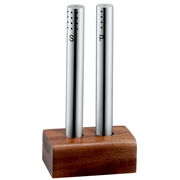 Modernes Salz- und Pfeffer-Set aus Edelstahl mit Holzsockel, frontal abgebildet.