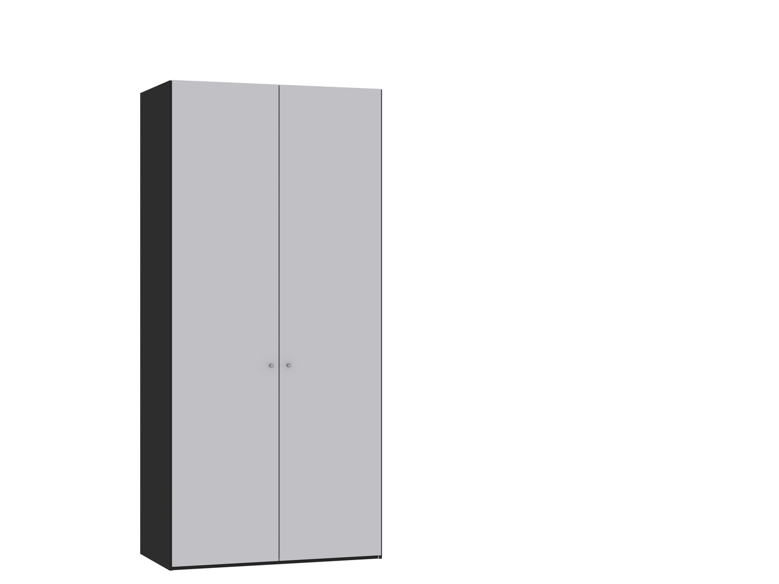 Zweiflügeliger Drehtürenschrank in Schwarz und Grau, seitliche Perspektive