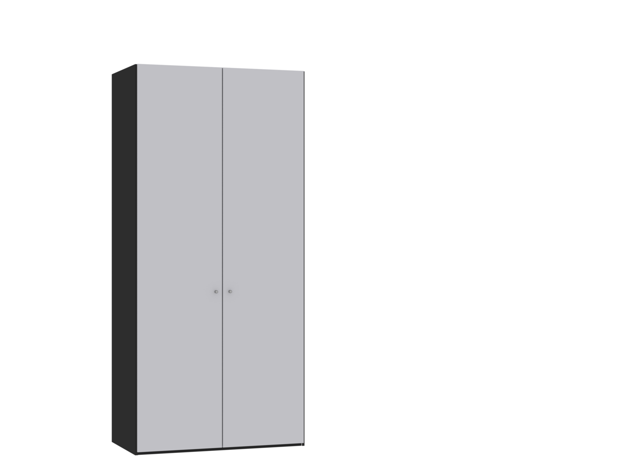 Jutzler Drehtürenschrank 2-trg. JUTZLER Zweiflügeliger Drehtürenschrank in Schwarz und Grau, seitliche Perspektive