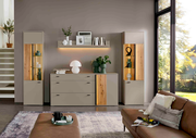 Moderne Wohnzimmer-Vitrine in neutralen Farben mit Holz- und Glaselementen, frontal fotografiert.