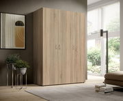 Drehtürenschrank 3-türig in Holzoptik, seitliche Perspektive, in modernem Wohnzimmer mit großen Fenstern und Pflanzen.