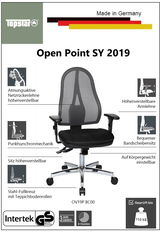 Bürostuhl mit atmungsaktiver Netzrückenlehne, höhenverstellbaren Armlehnen und Sitz, Punkt-Synchronmechanik, Stahl-Fußkreuz mit Teppichbodenrollen, Vorderansicht.