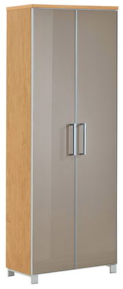 Moderner Dielenschrank mit Holzseiten und glänzenden Türen, Frontalansicht