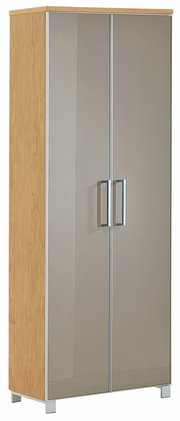 Moderner Dielenschrank mit Holzseiten und glänzenden Türen, Frontalansicht