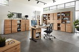 Moderne Büromöbel in einem hellen Raum mit großen Fenstern, bestehend aus einem Schreibtisch mit Rollcontainer, mehreren Aktenschränken und Regalen aus Holz. Perspektive: Frontalansicht.