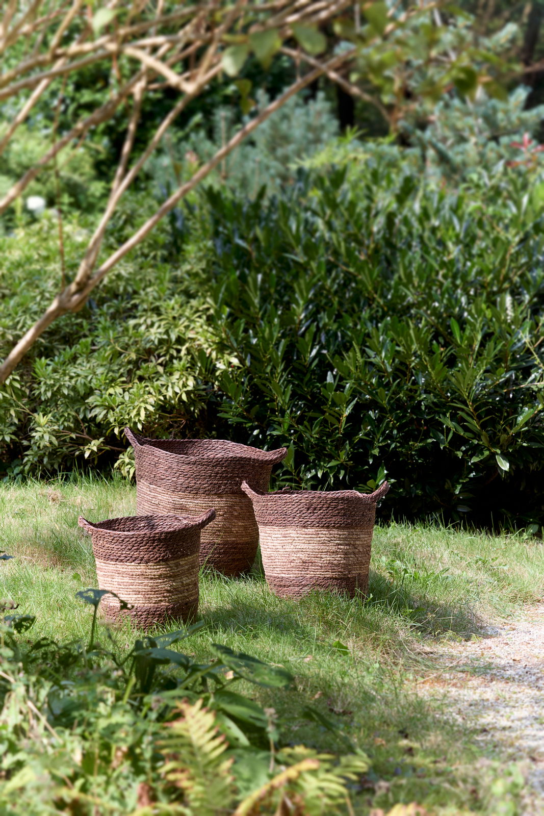 Drei geflochtene Körbe aus Naturmaterialien auf einer Wiese im Garten, seitliche Perspektive.