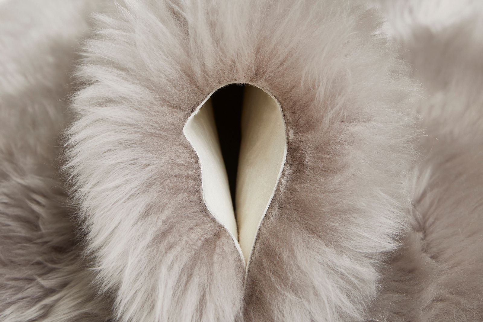 Nahaufnahme eines weichen, flauschigen Schaffells in grauer Farbe, das von oben betrachtet wird.