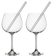 Zwei elegante Gin-Gläser mit Trinkhalm, frontal fotografiert.
