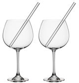 Zwei elegante Gin-Gläser mit Trinkhalm, frontal fotografiert.