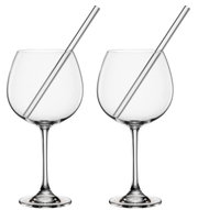 Twee elegante gin-glazen met rietje, van voren gefotografeerd.