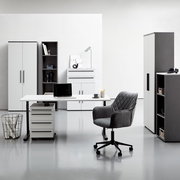Moderne Büromöbel in einem hellen Raum, bestehend aus einem Winkelschreibtisch mit Rollcontainer, einem Drehstuhl und mehreren Aktenschränken und Regalen, frontal betrachtet.