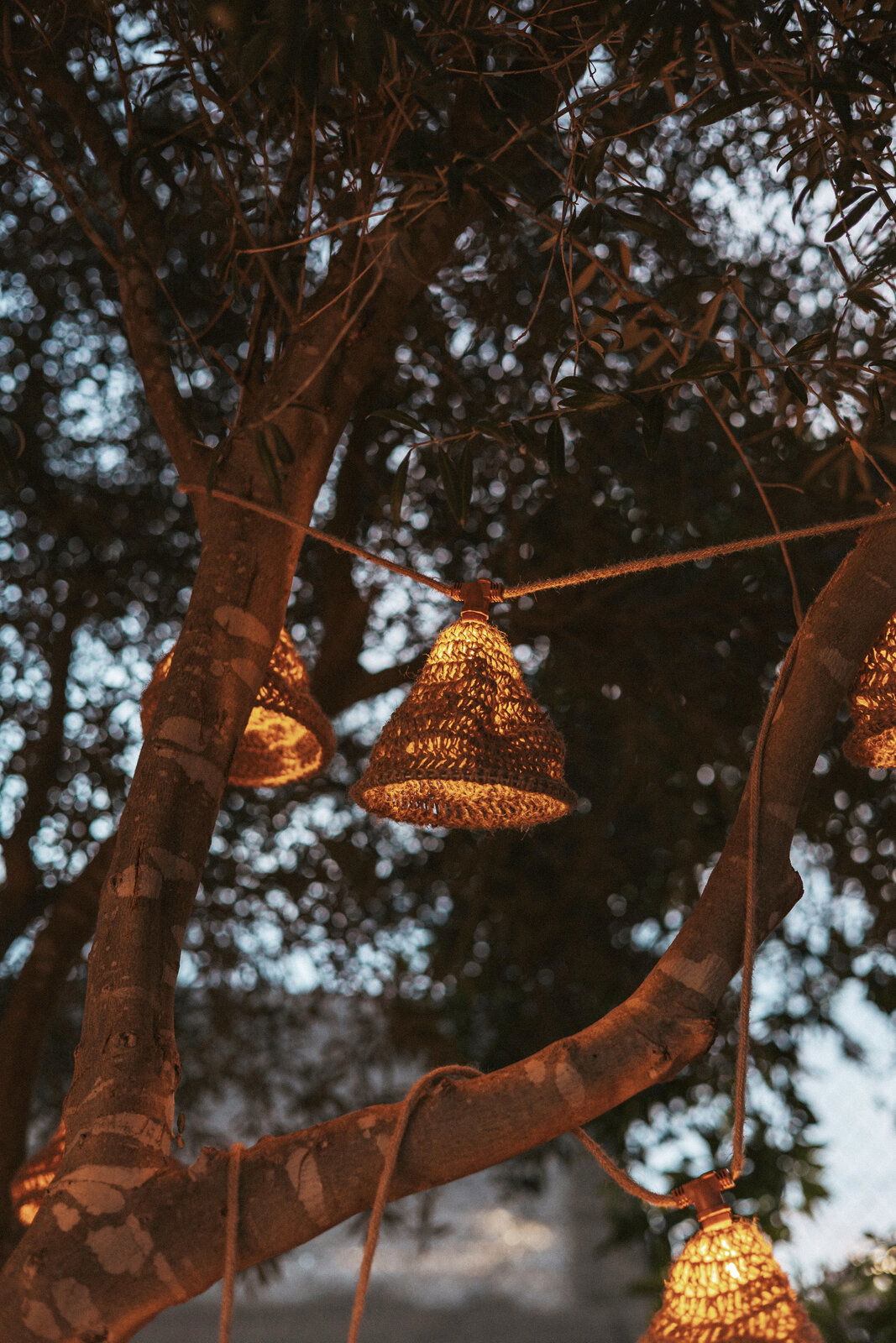 Outdoor-Lichterkette mit geflochtenen Lampenschirmen, aufgehängt an einem Baum in der Abenddämmerung, seitliche Perspektive