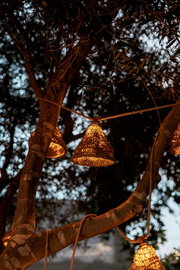 Outdoor-Lichterkette mit geflochtenen Lampenschirmen, aufgehängt an einem Baum in der Abenddämmerung, seitliche Perspektive