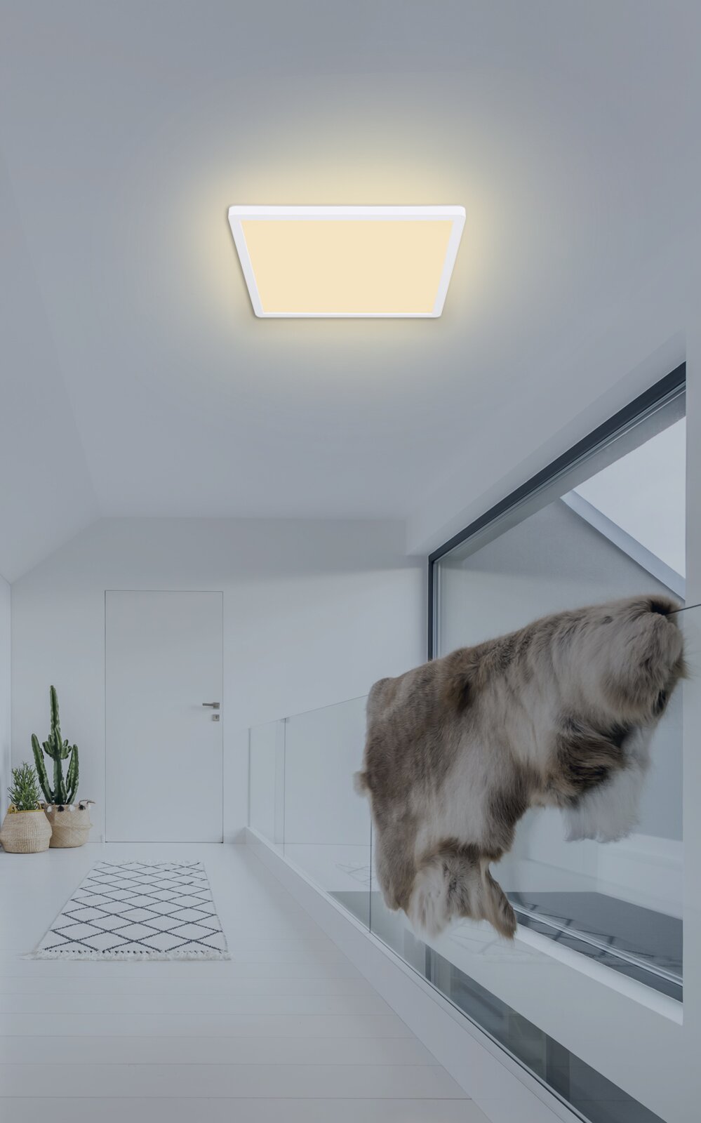 Quadratische LED-Deckenleuchte mit warmweißem Licht an weißer Zimmerdecke in modernem Flur, Perspektive von unten nach oben (Untersicht)