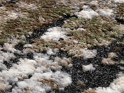 Nahaufnahme eines Designer-Teppichs mit flauschiger Textur in Erdtönen wie Grün, Braun, Weiß und Schwarz, aus seitlicher Perspektive aufgenommen.