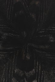 Nahaufnahme der dunklen Holzmaserung eines Esstisches aus der Vogelperspektive.