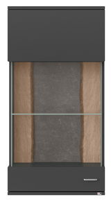Moderne Hängevitrine mit Glasfront und Holzrückwand, Frontalansicht