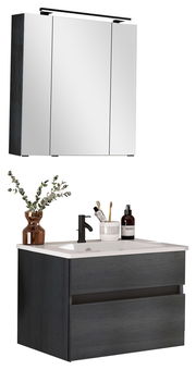 Moderner Badblock mit Spiegelschrank und Waschbeckenunterschrank in dunklem Holzdesign, frontal abgebildet.