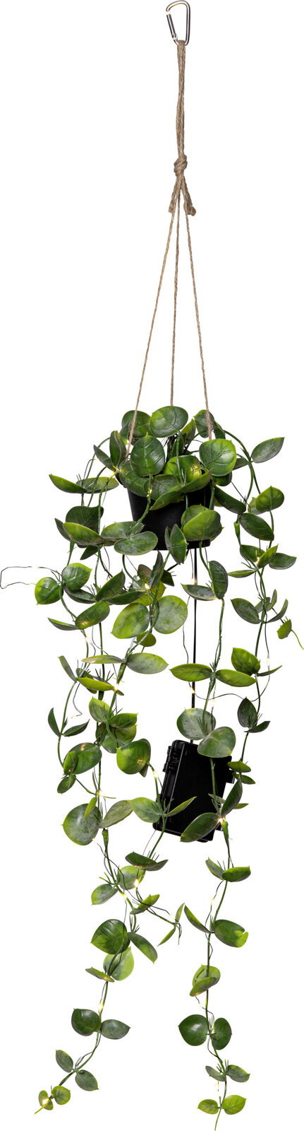 STAR TRADING Kunstpflanze Eukalyptus mit LED-Lichterkette LAOS Hängende Kunstpflanze mit grünen Ranken und integrierter LED-Lichterkette, an Juteschnur mit Karabinerhaken befestigt, freigestellt auf weißem Hintergrund, Frontansicht