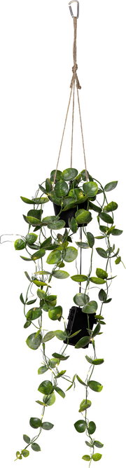 Hängende Kunstpflanze mit grünen Ranken und integrierter LED-Lichterkette, an Juteschnur mit Karabinerhaken befestigt, freigestellt auf weißem Hintergrund, Frontansicht
