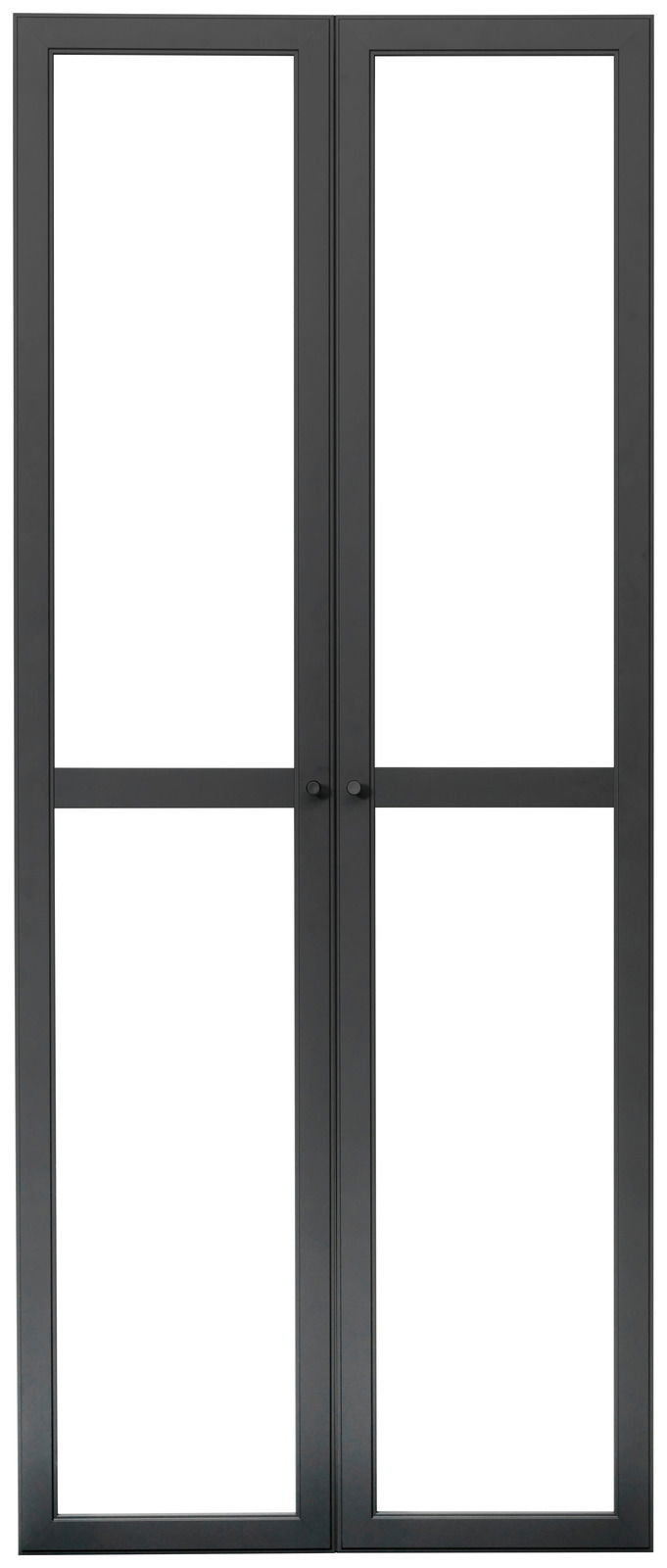 Schwarzes Doppeltür-Set aus Metall mit Glas, Frontalansicht