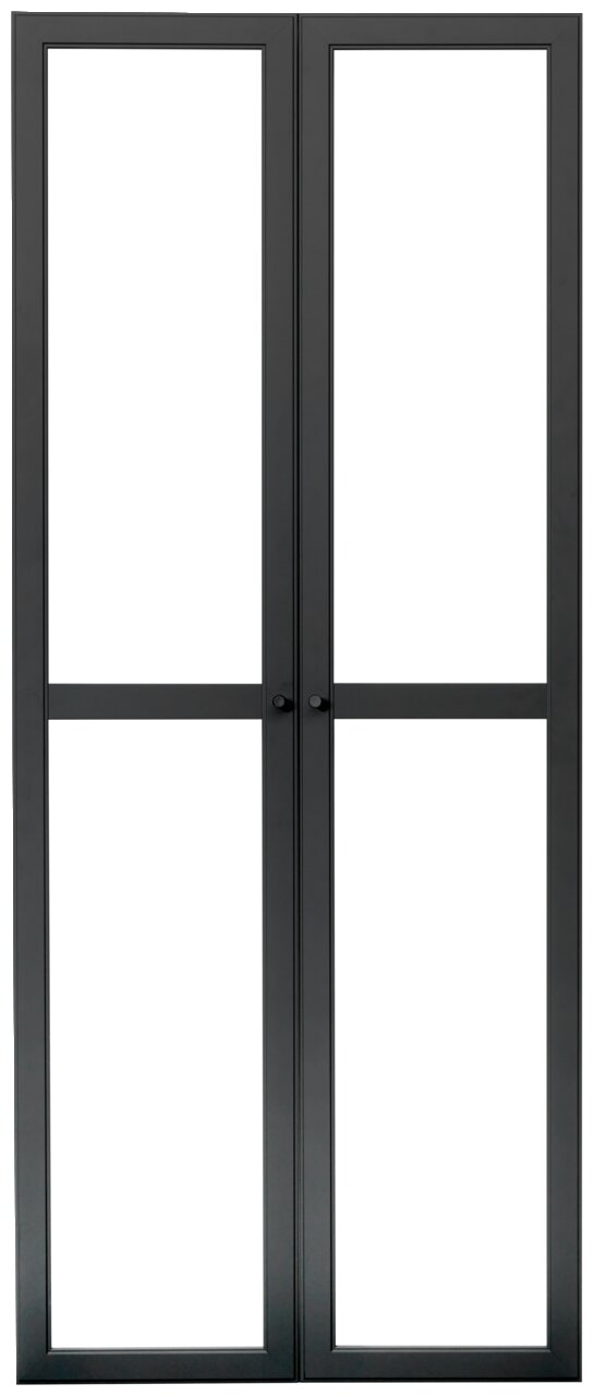 Schwarzes Doppeltür-Set aus Metall mit Glas, Frontalansicht