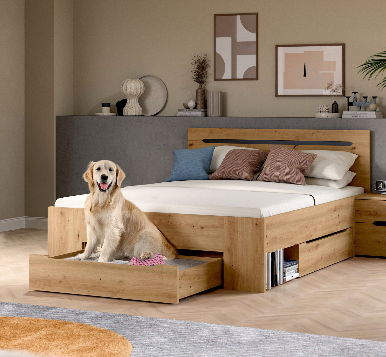 Modernes Holzbett in Eiche-Optik mit gepolstertem Kopfteil, ausziehbarem Bettkasten/Schublade und integriertem Stauraum, im Schlafzimmer aus frontaler Perspektive leicht schräg von links fotografiert; ein Golden Retriever sitzt in der geöffneten Schublade
