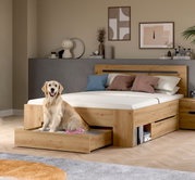 Modernes Holzbett in Eiche-Optik mit gepolstertem Kopfteil, ausziehbarem Bettkasten/Schublade und integriertem Stauraum, im Schlafzimmer aus frontaler Perspektive leicht schräg von links fotografiert; ein Golden Retriever sitzt in der geöffneten Schublade