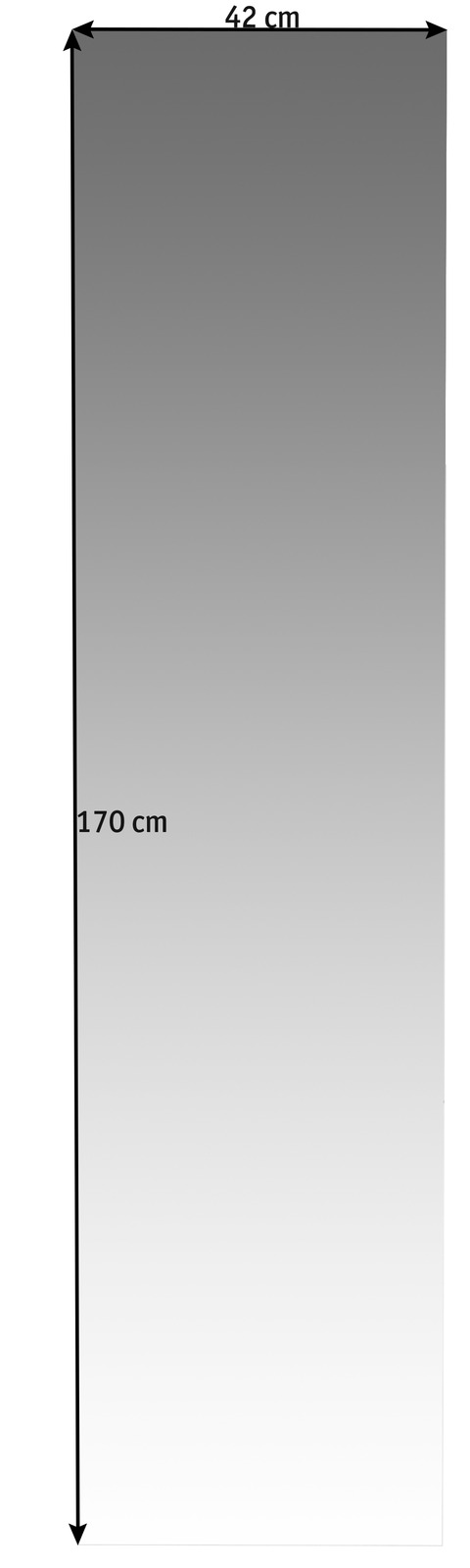 Rechteckiger Spiegel mit den Maßen 42 cm Breite und 170 cm Höhe, frontal betrachtet.