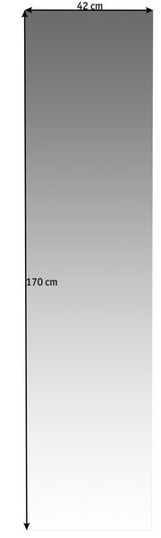 Rechteckiger Spiegel mit den Maßen 42 cm Breite und 170 cm Höhe, frontal betrachtet.