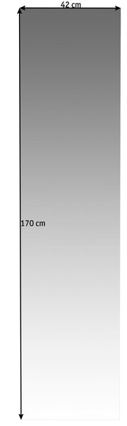 Rechteckiger Spiegel mit den Maßen 42 cm Breite und 170 cm Höhe, frontal betrachtet.