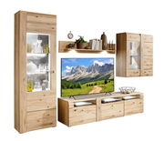 Wandkombination aus Holz mit Vitrine, Regal und TV-Schrank, frontal betrachtet