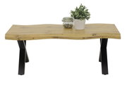 Moderner Couchtisch mit wellenförmiger Holzplatte und schwarzen Metallbeinen, frontal fotografiert. Dekoriert mit einer Pflanze und einem Glasgefäß.