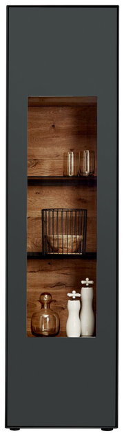 Moderne Vitrine mit Glasfront, Holzrückwand und dekorativen Objekten, frontal betrachtet.