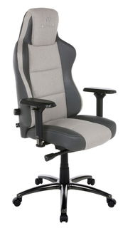 Grauer und schwarzer Gaming-Stuhl mit verstellbaren Armlehnen, seitliche Perspektive