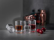 Vier Schnapsgläser, eines liegend, mit verschiedenen Flüssigkeiten gefüllt, auf einer grauen Oberfläche mit Kirschen im Vordergrund und Barzubehör im Hintergrund, seitliche Perspektive.