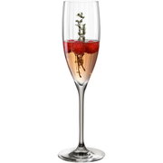Sektglas POESIA grau 250ml mit roséfarbenem Getränk, Himbeeren und Thymianzweig, seitliche Perspektive