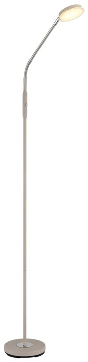 Beige LED-Stehleuchte mit rundem Standfuß, schlankem Stab und flexiblem Schwanenhals sowie ovalem Leuchtenkopf, warmweiß leuchtend, freigestellt auf weißem Hintergrund, Frontansicht