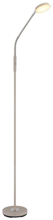 Beige LED-Stehleuchte mit rundem Standfuß, schlankem Stab und flexiblem Schwanenhals sowie ovalem Leuchtenkopf, warmweiß leuchtend, freigestellt auf weißem Hintergrund, Frontansicht