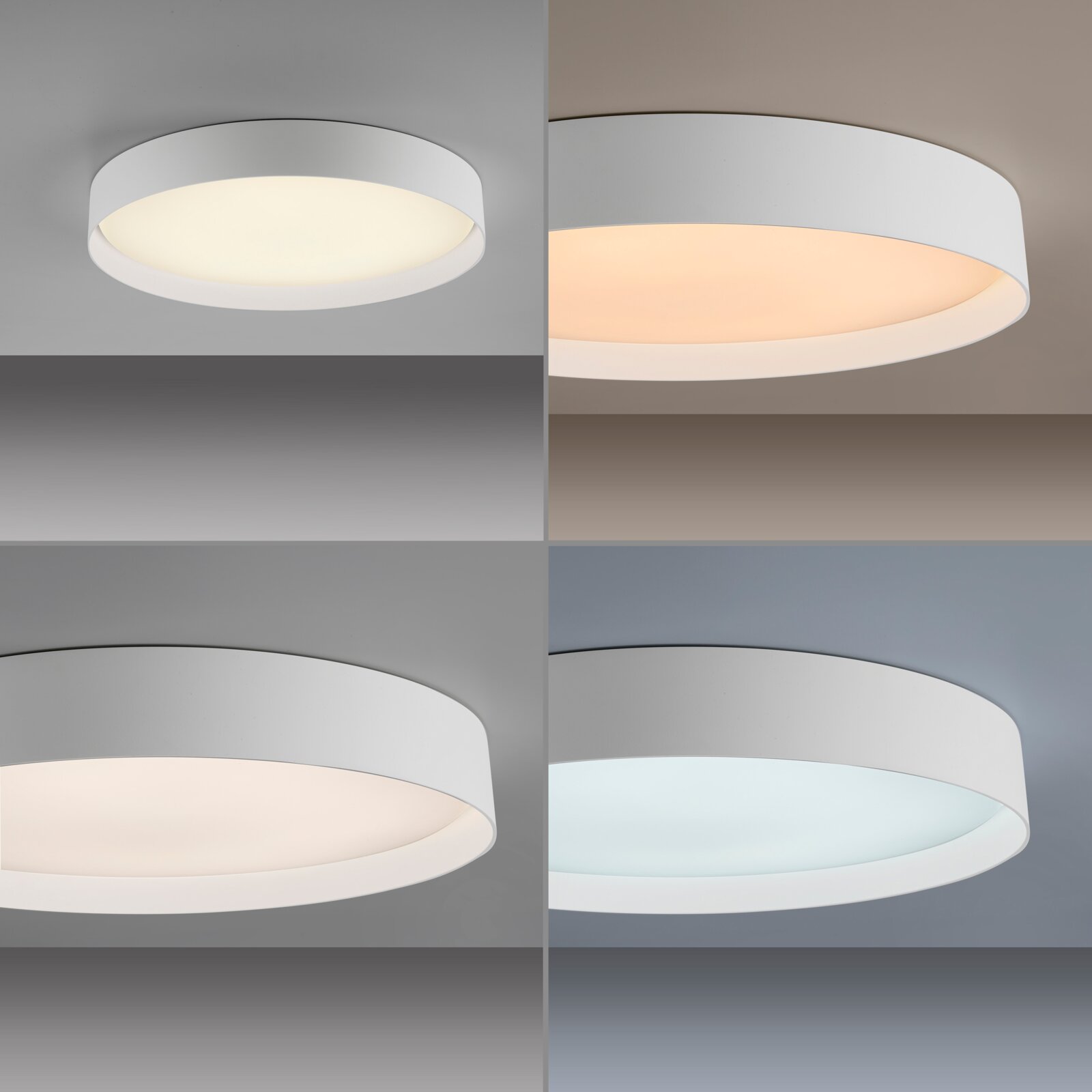 Runde, flache LED-Deckenleuchte in Weiß mit opalem Diffusor, leuchtend in warm- bis neutralweiß, aus schräger Untersicht an der Decke fotografiert