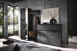 Moderne Garderobenkombination in dunklem Holz mit Spiegel, Schuhschrank und Wandgarderobe in einem stilvollen, lichtdurchfluteten Raum. Perspektive von schräg vorne.