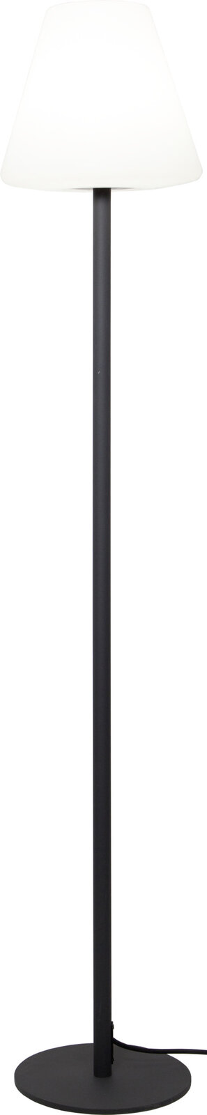 Schwarze Stehlampe mit rundem Standfuß und weißem, konischem Lampenschirm, Frontansicht auf weißem Hintergrund