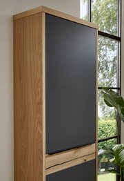 Moderner Hängegarderobenschrank aus Holz mit dunkler Front, seitliche Perspektive