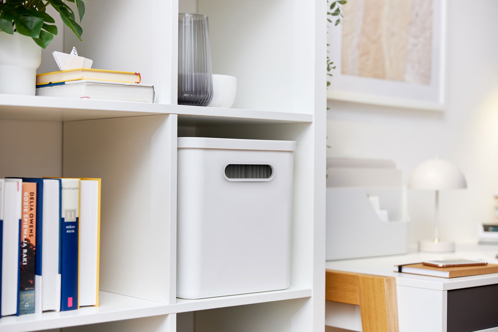 rotho Archivbox MY PAPER Weiße Archivbox in einem Regal, frontal fotografiert, umgeben von Büchern und Dekoration.