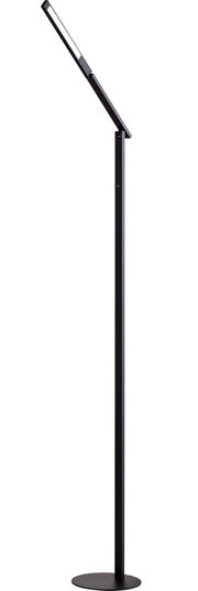Schwarze Stehleuchte mit schlankem, modernem Design, seitliche Perspektive