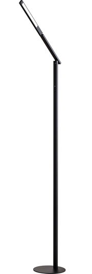 Schwarze Stehleuchte mit schlankem, modernem Design, seitliche Perspektive