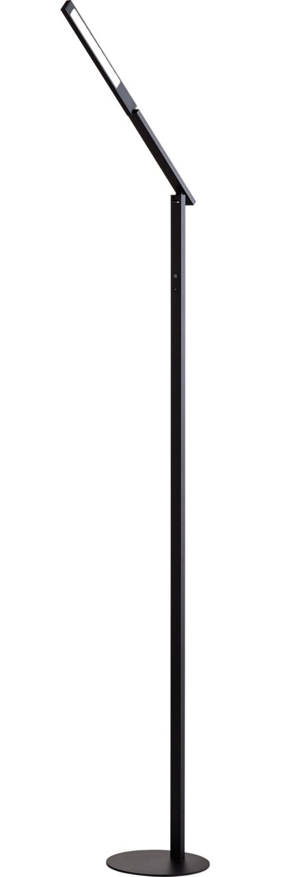 Schwarze Stehleuchte mit schlankem, modernem Design, seitliche Perspektive