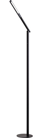 Zwarte staande lamp met een slank, modern ontwerp, zijaanzicht